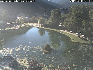 Webcam Puchberg Kurpark
