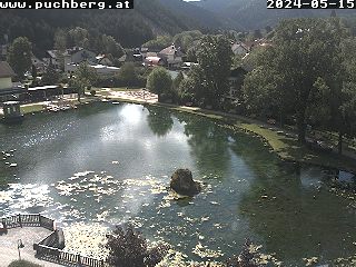 Webcam Puchberg Kurpark